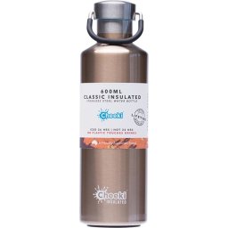 Insulated Stainless Steel Bottle - Champagne 600ml
