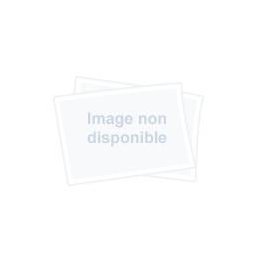 Beko RFNE312K31WN