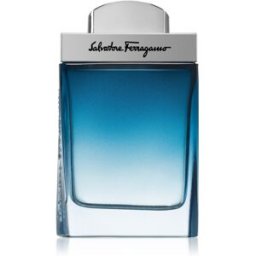 Salvatore Ferragamo / Subtil Pour Homme - Eau de Toilette 50 ml