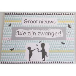 Kraskaart - We zijn Zwanger! Nordic silhouette