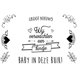 Tijdelijke Tattoo - We zijn Zwanger!