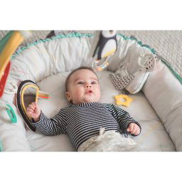 Musical Newborn Cosy Gym