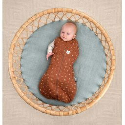 TOG 2.5 | Winter Cocoon Inbakerslaapzak Acorn