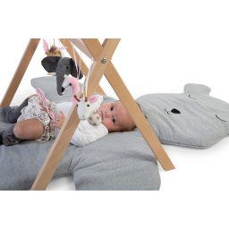 Gymtoys dierenhoofdjes