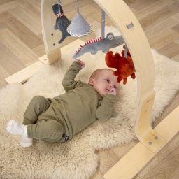 Houten Babygym van hout