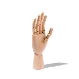 HEMA Houten Hand 25cm