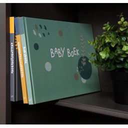 Babyboek