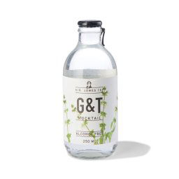 HEMA Alcoholvrije G&T 250ml