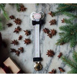 Speenkoord Kerst - Joy to the world