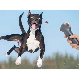 Hondensnack Launcher