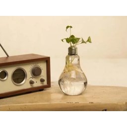 Gloeilamp Vaas (Set van 6)