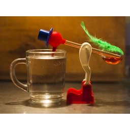 The Infamous Drinking Bird