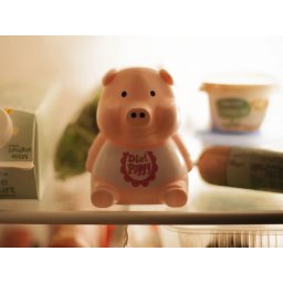 Dieet Piggy
