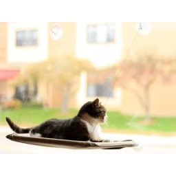 Kattenbed Voor Aan Het Raam