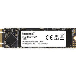 Intenso TOP 1 To M.2 SATA SSD