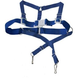 Veiligheidstuigje Blauw