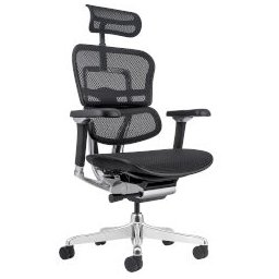 Стол Ergohuman Plus Luxury II DM Black