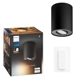 Pillar Hue Single Spot Black 1x5W 230V