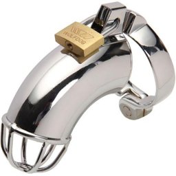 Клетка за пенис "CHASITY HOUDINI" 10 см.