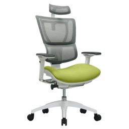 Ергономичен офис стол U-body Green