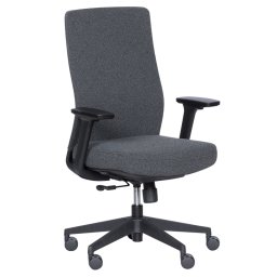 Ергономичен стол CORK - графит