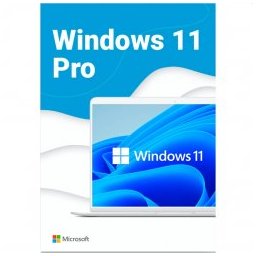 Windows 11 Pro 64bit Eng Intl USB Flash