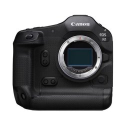 Canon EOS R1 + Canon RF 100-300mm f/2.8L IS USM
