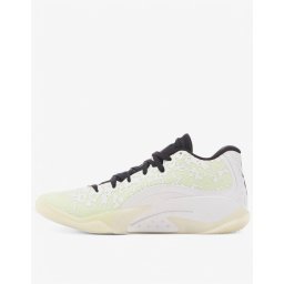 NIKE Jordan Zion 3 Basketball Shoes Green/White