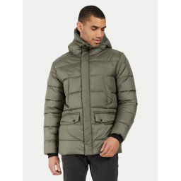 Didriksons Зимно яке Fabio 505358 Зелен Regular Fit