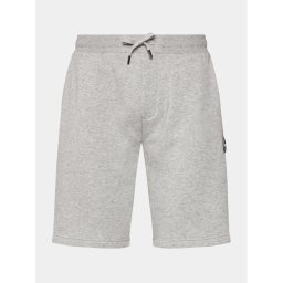 Colmar Спортни шорти Connective 8244R 5WS Сив Regular Fit