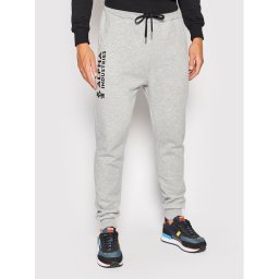 Alpha Industries Долнище анцуг Basic 116368 Сив Regular Fit