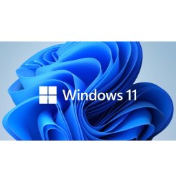 Операционна система Microsoft Windows 11 Home, 64-bit, Български, OEM
