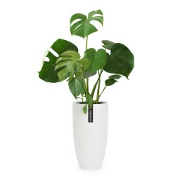 Fox & Fern Саксия Almere Fibre Stone, идеална за растения, ръчно изработена, конусовидна (PP-CONE-L-MW)