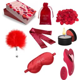Dream Toys Amour The Secrets Of Love Panty Play Kit комплект еротични аксесоари 7 бр.