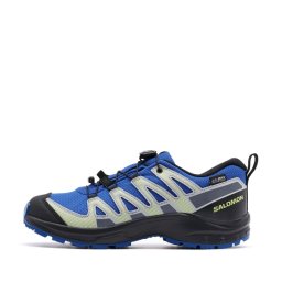 Salomon XA Pro V8 WaterProof