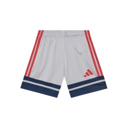 adidas Спортни шорти Squadra 25 JP3416 Сив Regular Fit