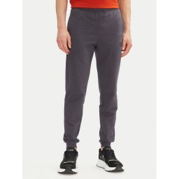 EA7 Emporio Armani Долнище анцуг 8NPP66 PJVRZ U8115 Сив Slim Fit