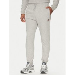 Reebok Долнище анцуг 100221804 Сив Regular Fit