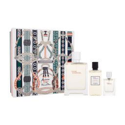 Hermes Terre d´Hermès Eau Givrée подаръчен комплект: EDP 100 ml + душ гел 80 ml + EDP 12,5 ml за мъже