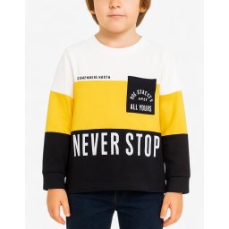 CHICCO Boys Sweatshirt Multicolor