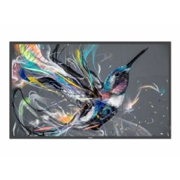 PHILIPS 50BDL3650Q/00 50inch Direct LED 4K Display powered