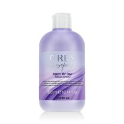 Inebrya GREYlosophy Grey By Day Shampoo 300 ml нежен тонизиращ шампоан за естествено сива и бяла коса унисекс