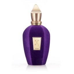 Xerjoff V Collection Accento 100 ml eau de parfum тестер унисекс
