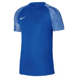 NIKE ACADEMY 22 SS TEE - DH8031-463 / Мъжка тениска