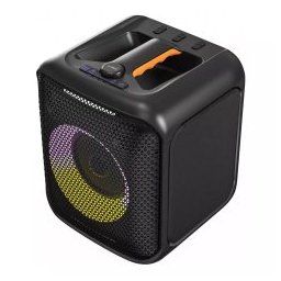 Speaker PA100