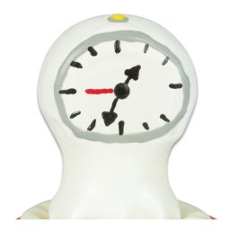CONDOMERIE