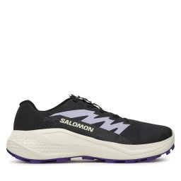 Маратонки за бягане Salomon Alphaglide L47801800 Сив