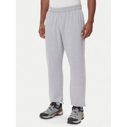The North Face Долнище анцуг Expedition Celebration NF0A8E3E Сив Relaxed Fit