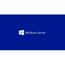 Програмен продукт с лицензен стикер Windows Server CAL 2025 English 1pk DSP OEI 1 Clt User CAL