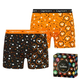 Men's boxers Frogies Zodiac Козирог 2P Gift box